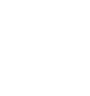 The Adapted Company